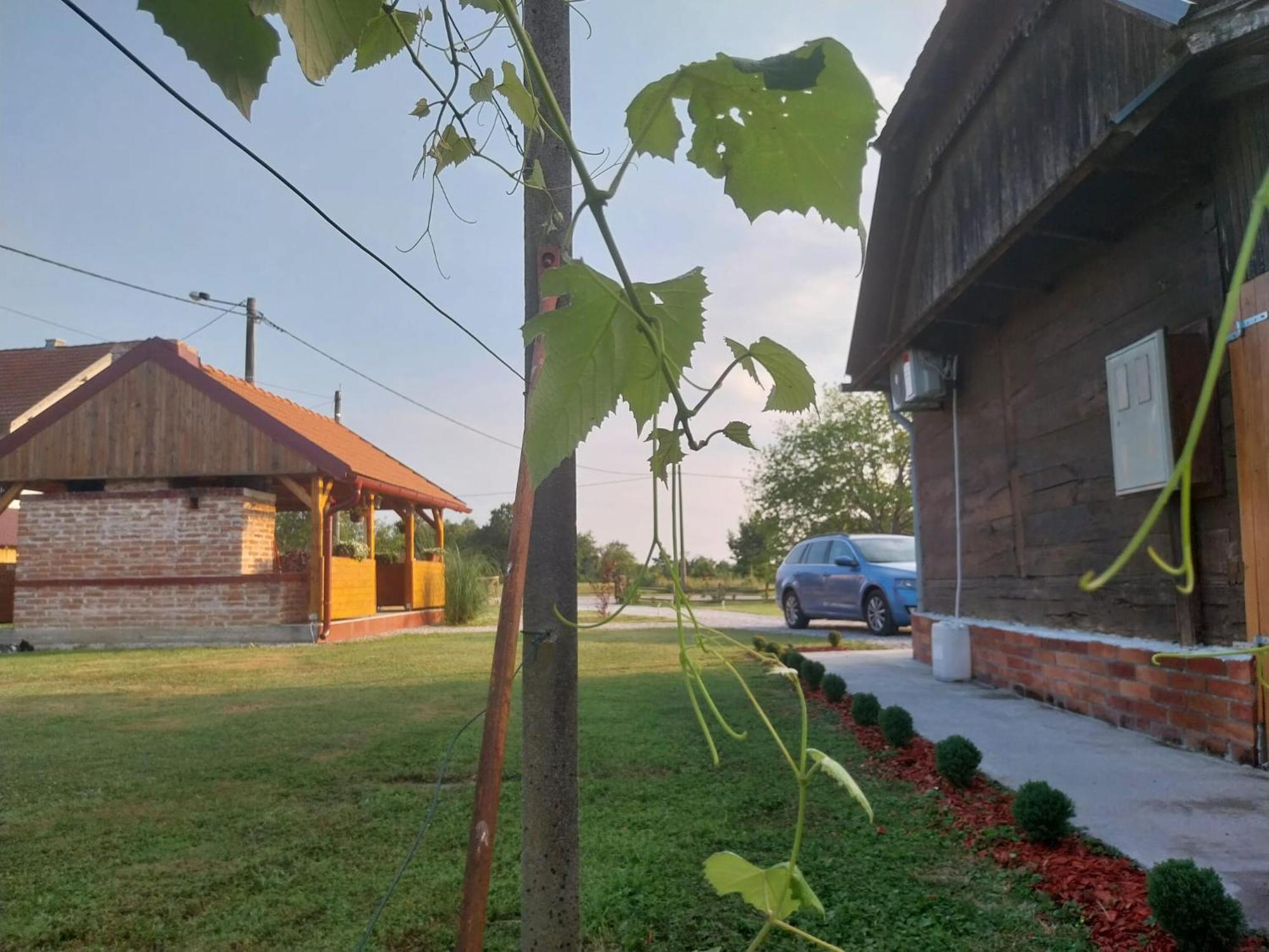 Kuca Za Odmor Jopi I Mare Villa Topusko Bagian luar foto
