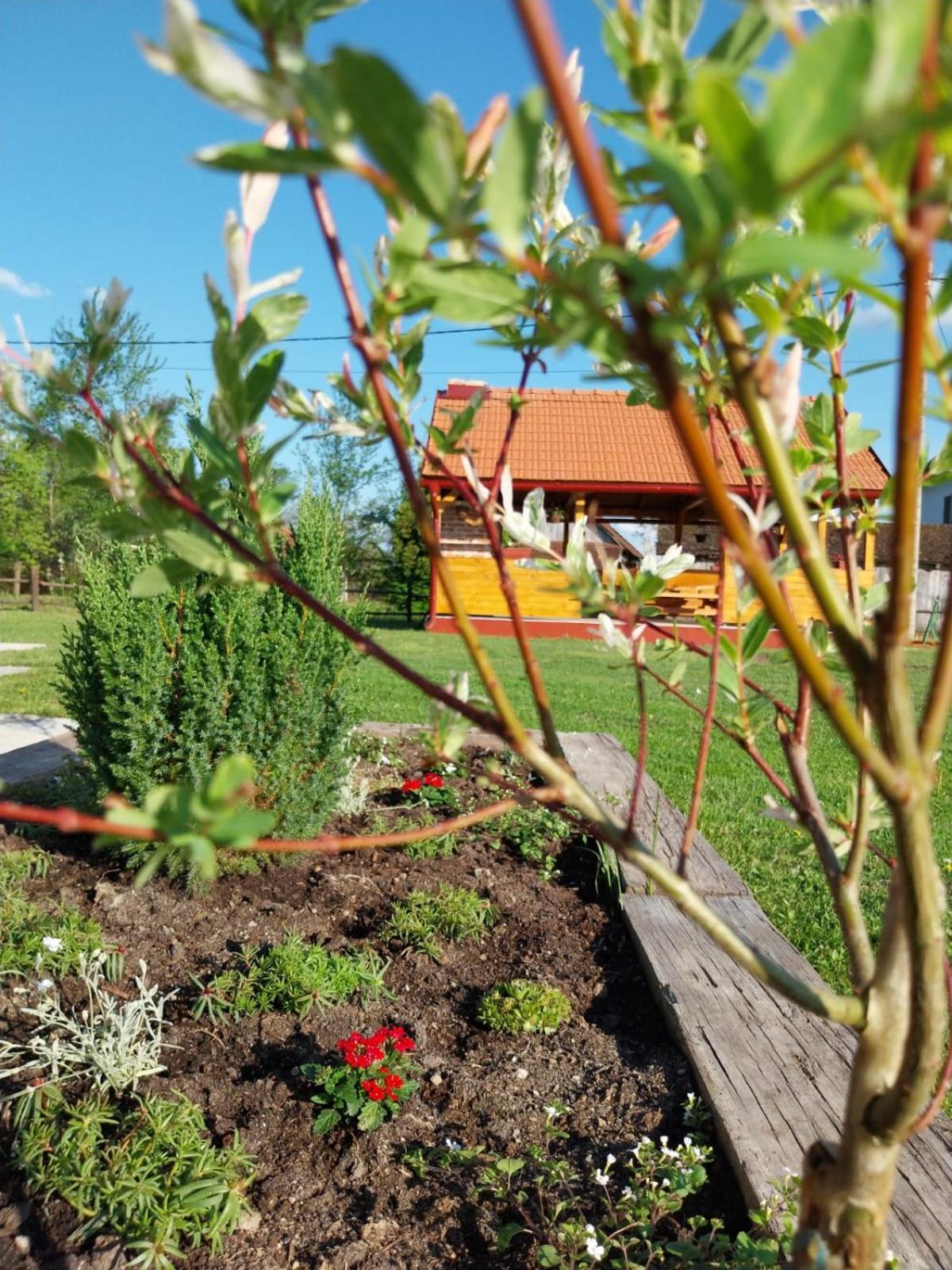 Kuca Za Odmor Jopi I Mare Villa Topusko Bagian luar foto