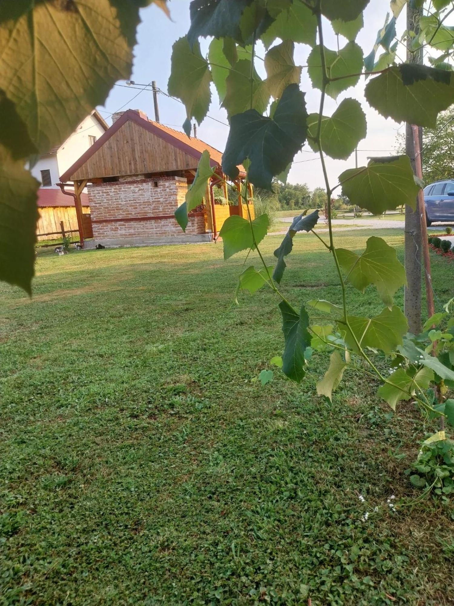 Kuca Za Odmor Jopi I Mare Villa Topusko Bagian luar foto